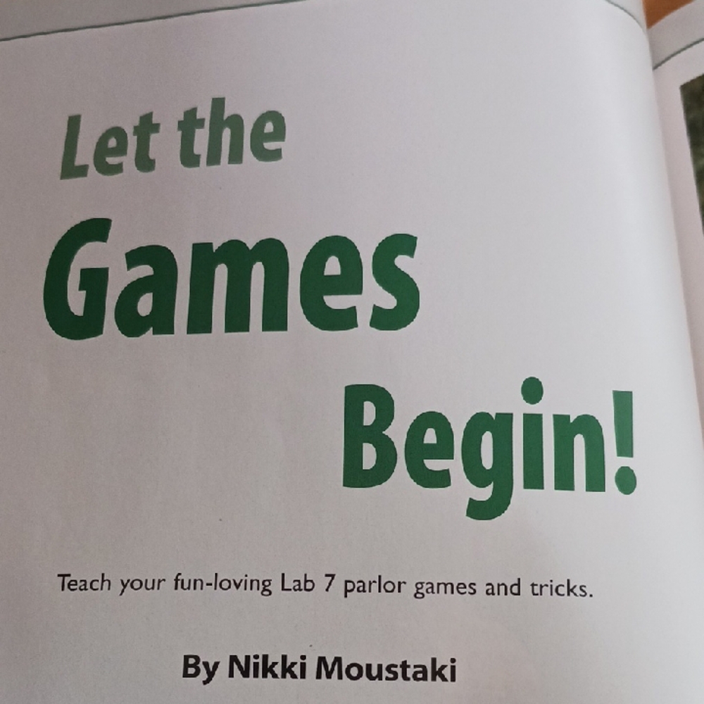 Training Secrets for Labrador Retrievers Magazine - Picture 4 of 7